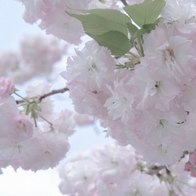 兽设山谷场景创作FurryQQ群